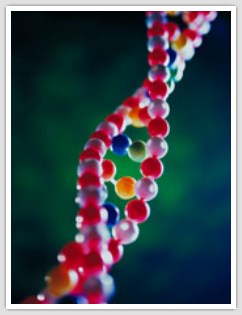 double helix made with rainbow beads