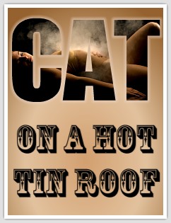 Show poster for Cat on a Hot Tin Roof